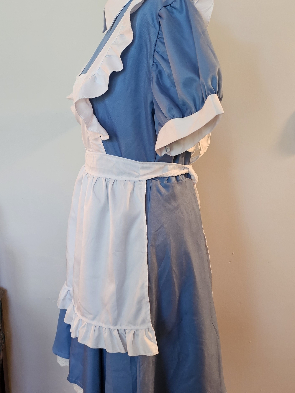 Alice In Wonderland Costume - Picture 2 of 12
